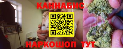 гидра Анжеро-Судженск