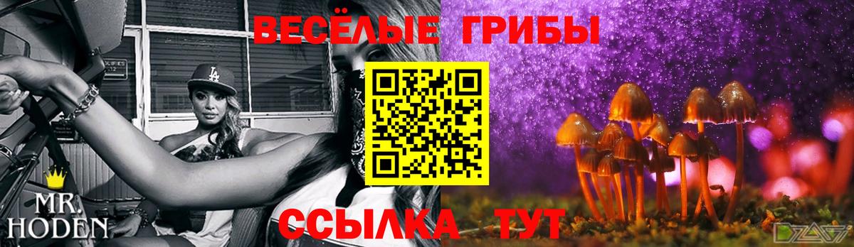 Псилоцибиновые грибы Magic Shrooms  Вход с VPN  Гусь-Хрустальный 